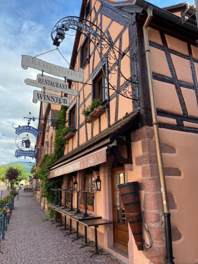 Appartement Le Chamois Kaysersberg-Vignoble Exterior photo